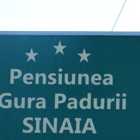 Gura Padurii Hotell Sinaia Eksteriør bilde
