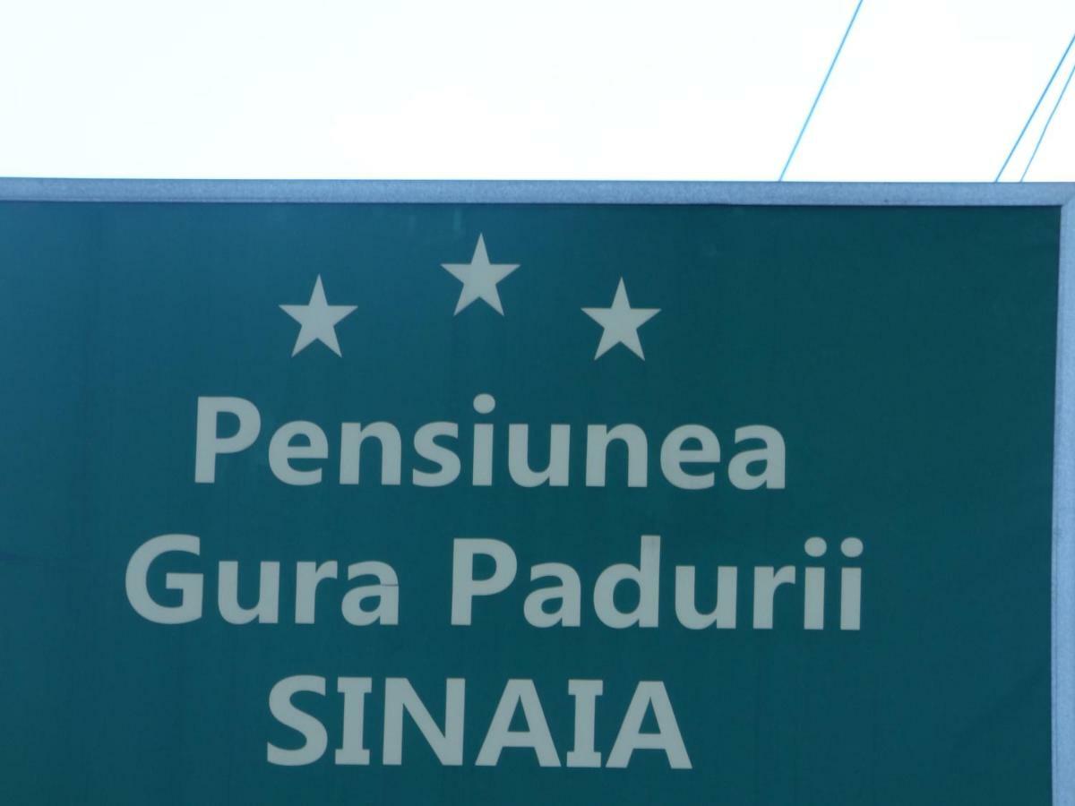 Gura Padurii Hotell Sinaia Eksteriør bilde